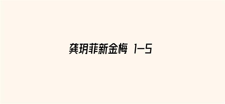 >龚玥菲新金梅 1-5集横幅海报图